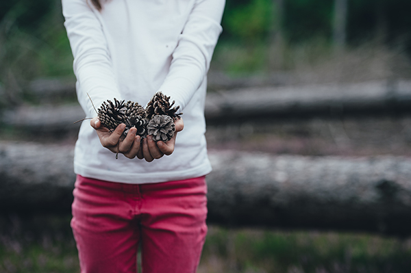 Young girl holding pine cones