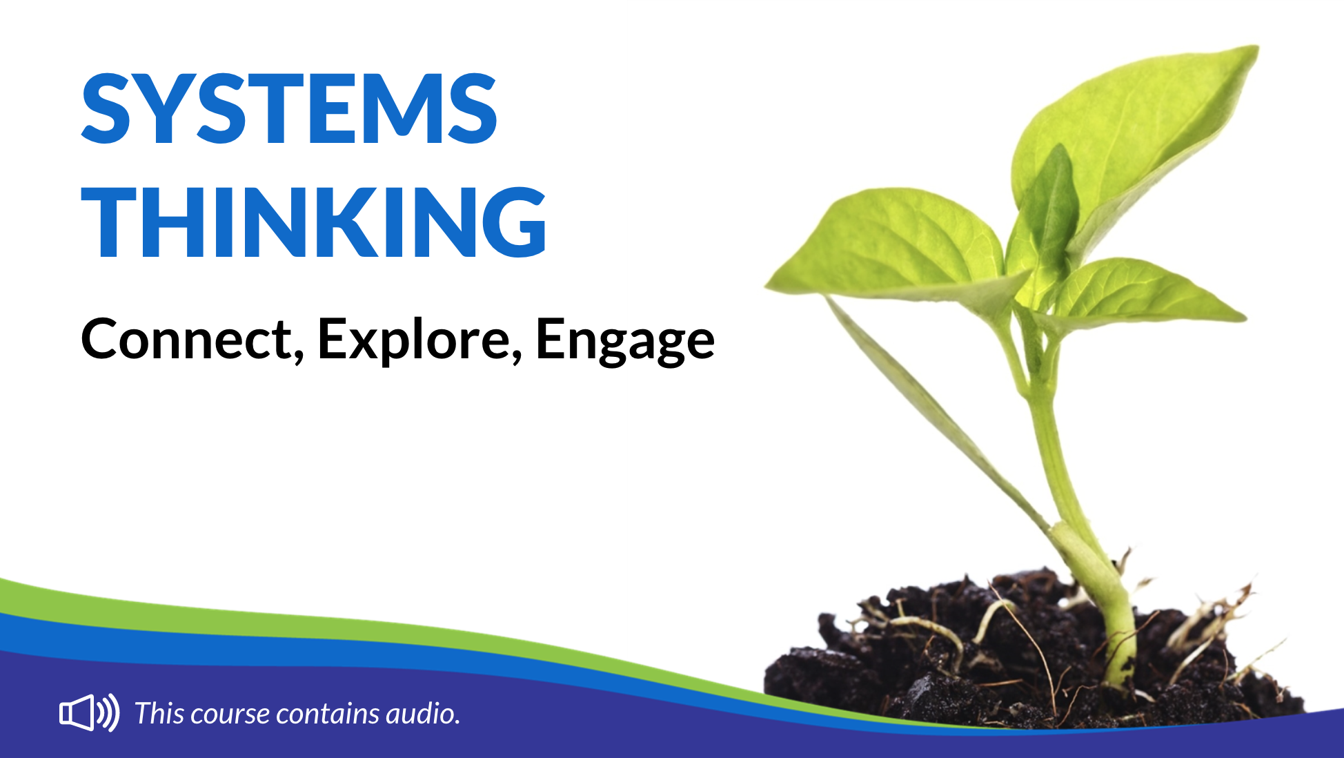 Connect, Explore, Engage with Systems Thinking