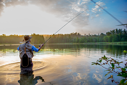 Fly Fisherman