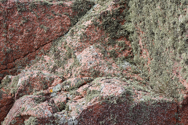 Red granite rocks