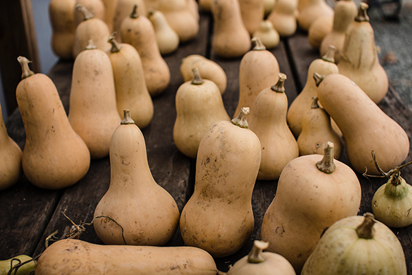 Bunch of gourds