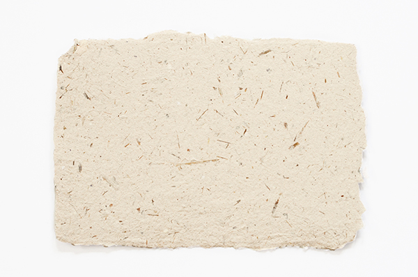 Sample of paper made at home