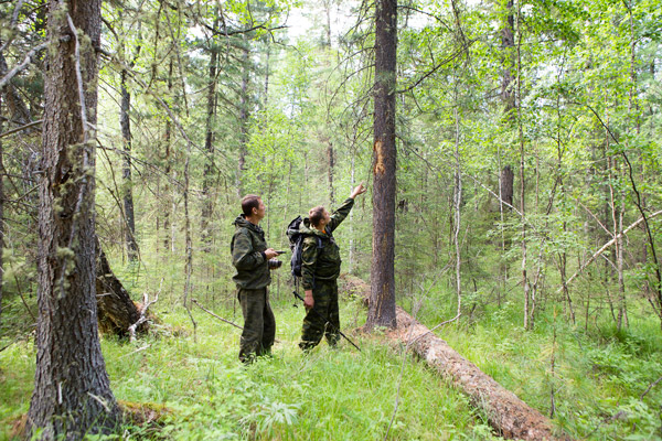 Identification in the Woods