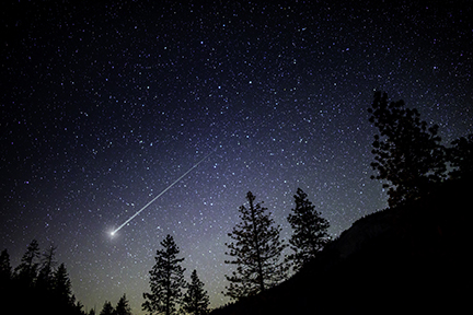 Night sky with shooting star and trees