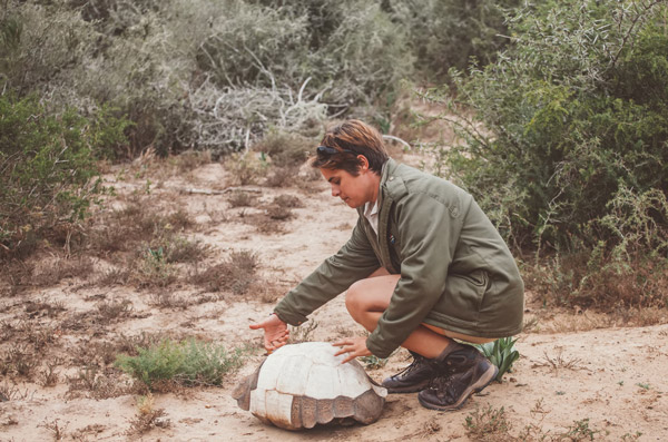 Park Ranger