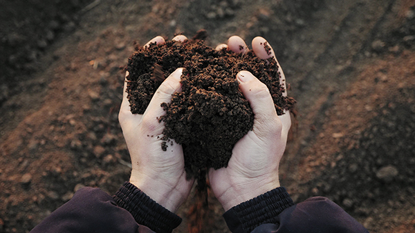 Farmer holding soil in hands