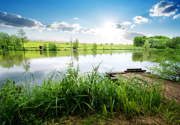 Fishing Pier on River