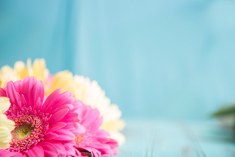 Flower Bouquet