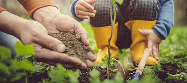 Parent and child planting a tree