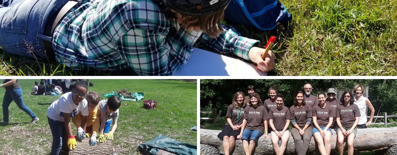 Collage. Top image is of a student using anature journal, bottom left of three students rolling a log, and bottom right a team of teachers in front of their school forest