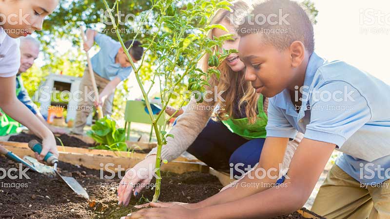Several kids planting in a garden