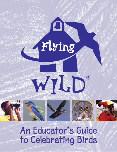 flying wild book cover