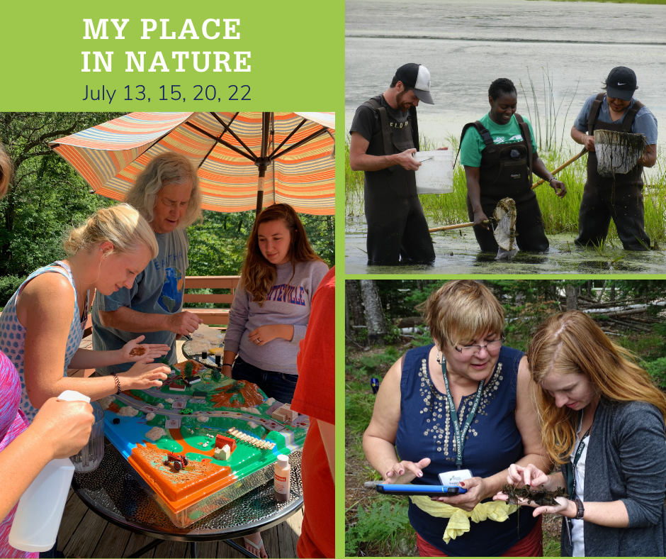 Image of teachers learning outdoors