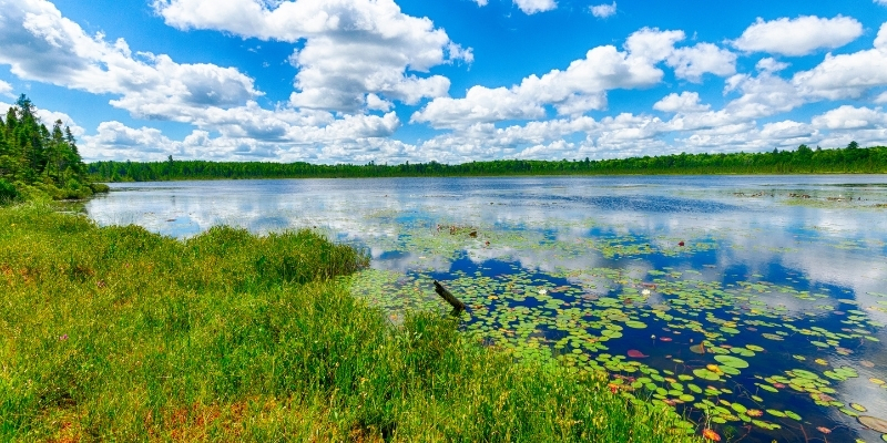 a photograph of Grandma Lake Wetlands State Natural Area