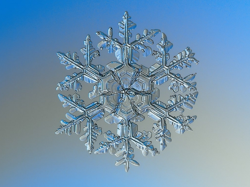 macro-photograph of a snowflake