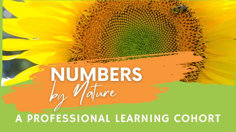 Numbers by Nature image with sunflower background